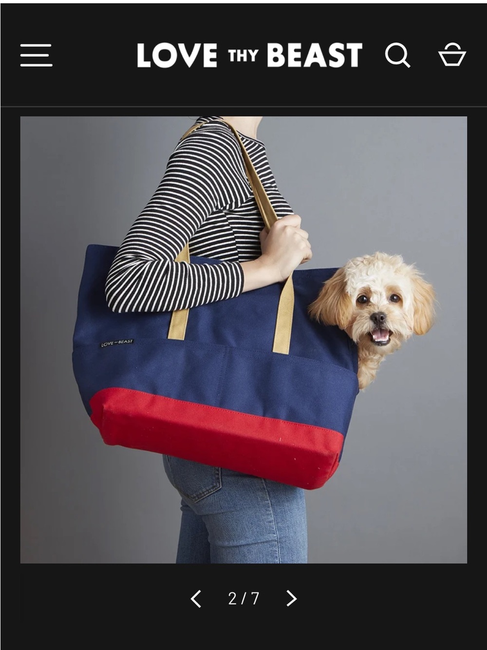 Navy & Red Canvas Pet Tote with Tan Straps - Picture 2 of 11